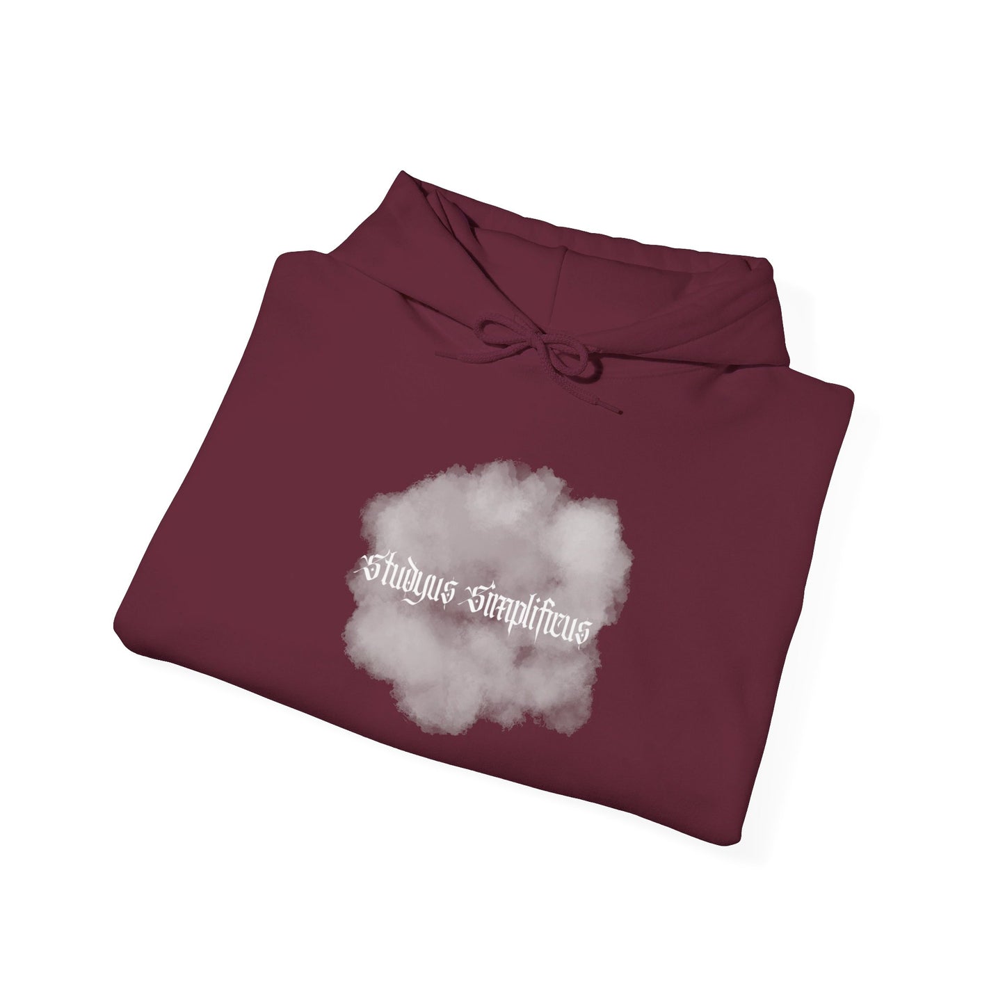 Studyus Simplificus- Hoodie