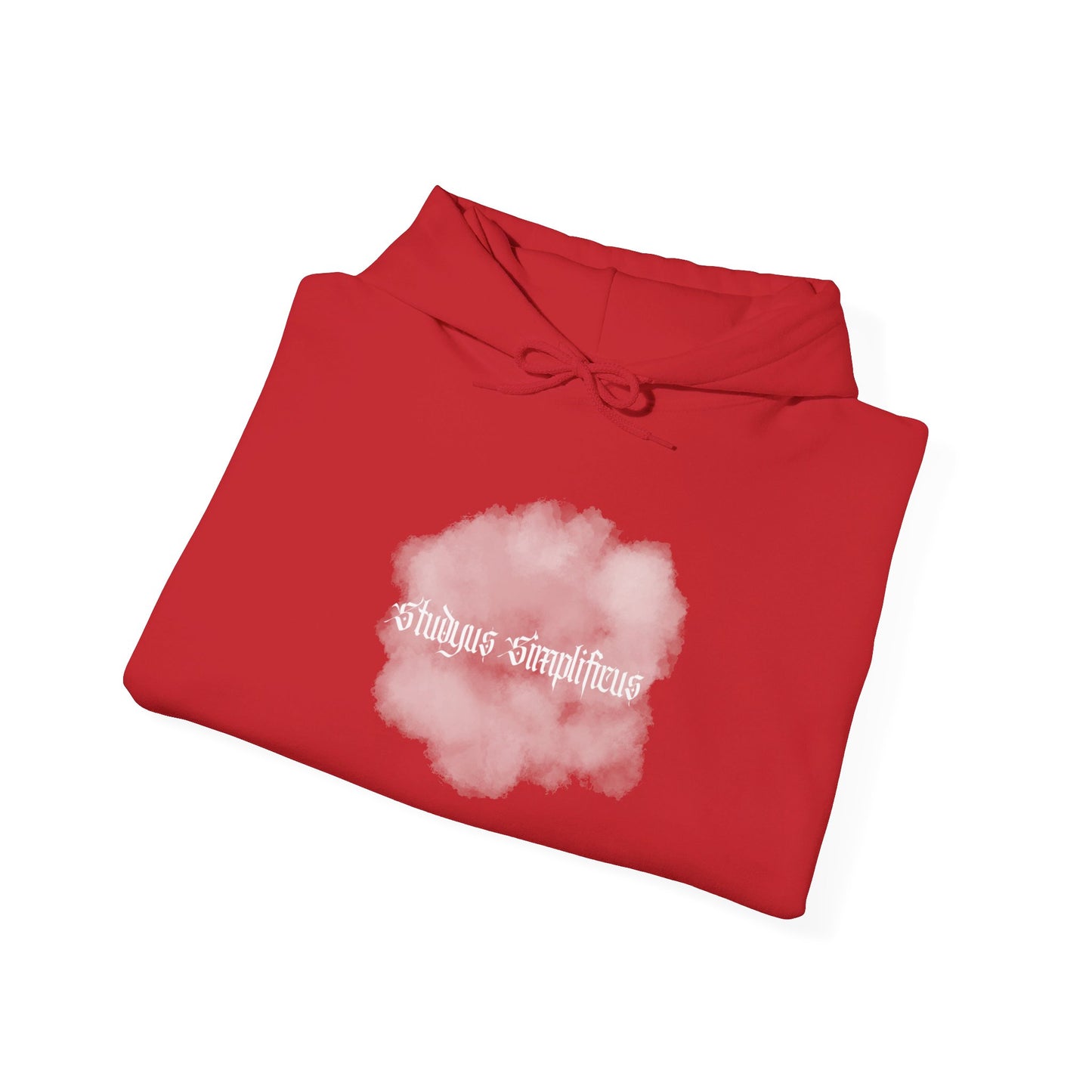 Studyus Simplificus- Hoodie